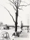 Sigmar Polke, Hamburg, Gelatin silver print on Agfa paper