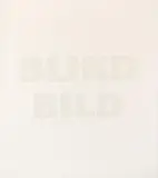 Blind Bild by Rémy Zaugg, Oil and screenprint on canvas, sold May 2012
