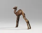 Renée Sintenis, Junges Dromedar (Young Dromedary)