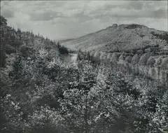 Petersberg by August Sander, Gelatin silver print on Agfa-Brovira paper, printed early 1950s, sold May 2012