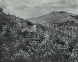 Petersberg by August Sander, Gelatin silver print on Agfa-Brovira paper, printed early 1950s, sold May 2012
