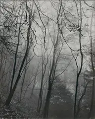 Wolkenburg by August Sander, Gelatin silver print on Agfa-Brovira paper, printed early 1950s, sold May 2012