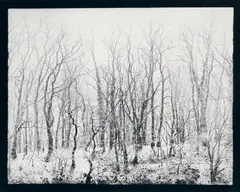 Window image by Robert Häusser, Gelatin silver print on Agfa paper, printed later, sold May 2012