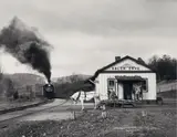 O. Winston Link, Maud bows to the Virginia Creeper, Green Cove, Virginia