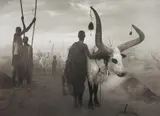 Sebastião Salgado, Sud Soudan