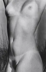 Untitled by Ralph Gibson, Gelatin silver print, sold May 2012