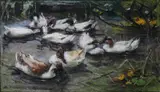 Alexander Koester, NINE WHITE DUCKS