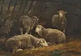 Charles Jacque, SHEEP IN THE STABLE, Oil on panel (parquetted)