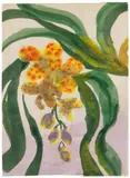 Emil Nolde, Orchidee (Orchid)