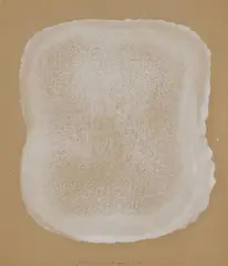 Untitled by Gotthard Graubner, Gouache on cardboard with irregular lateral margins approx, sold Dec 2011