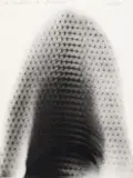 Heinz Mack, Der Reichtum der Spermen (the abundance of sperms)