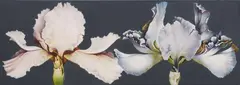 Double Iris Painting by Lowell Nesbitt, Oil on canvas, sold Dec 2011