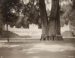 Guillermo (Wilhelm) Kahlo, Recuerdo de México y Chapultepec, 37 vintage gelatin silver prints as well as 2 panoramas, each consisting of 2 vintage gelatin silver prints and 1 panorama, consisting of 3 vintage gelatin silver prints. The single prints each ca