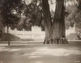 Guillermo (Wilhelm) Kahlo, Recuerdo de México y Chapultepec, 37 vintage gelatin silver prints as well as 2 panoramas, each consisting of 2 vintage gelatin silver prints and 1 panorama, consisting of 3 vintage gelatin silver prints. The single prints each ca