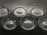 Adolf Lazi, Bowls, Gral-Glas