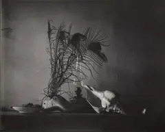 Josef Sudek, Still life after Caravaggio, Ivancice, 1956, Vintage gelatin silver print