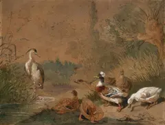 Carl Jutz the Elder, DUCKS AND A BIRD IN A PONT, Waterclolour and white chalk on paper, mounted on wood