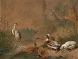 Carl Jutz the Elder, DUCKS AND A BIRD IN A PONT