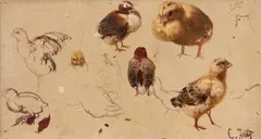 Carl Jutz the Elder, STUDY FOR CHICKS, Oil on hardboard