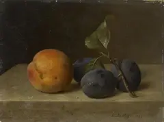 Emilie Preyer, STILL LIFE WITH PEACH AND PLUMS, Oil on cardboard