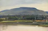 Caspar Scheuren, RHEINAUE