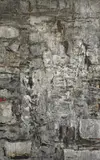 Karl Fred Dahmen, Untitled