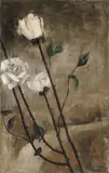 Peter Herkenrath, Untitled (White roses)