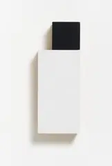 Pinguin by Imi Knoebel, 1992, Wooden multiple in two parts mounted together, painted in black and white acrylic, sold Jun 2011