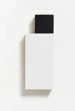 Pinguin by Imi Knoebel, 1992, Wooden multiple in two parts mounted together, painted in black and white acrylic, sold Jun 2011