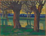 Eberhard Viegener, Kopfweiden (Pollard Willows)