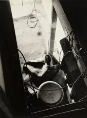 UNTITLED by T. Lux Feininger, Vintage gelatin silver print on Agfa-Lupex paper, sold May 2011