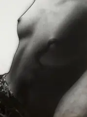 Josef Ehm, NUDE (SOLARISATION), Vintage gelatin silver print