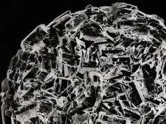 Hermann Claasen, UNTITLED (MICROPHOTOGRAPHY), Vintage gelatin silver print