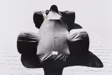 Robert Häusser, J.R. 5-9-70, Gelatin silver print, printed