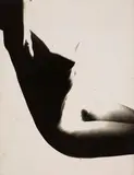 Chargesheimer, NUDE