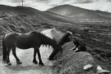 Henri Cartier-Bresson, IRELAND
