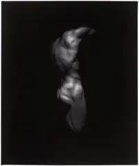 NUDE (FROM THE SERIES: BACKS) by Victor Skrebneski, Gelatin silver print on Agfa paper, sold May 2011