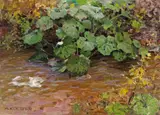 Alexander Koester, PLANT IN THE WATER