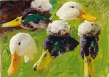 Alexander Koester, STUDY OF DUCKS