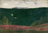 Lesser Ury, Thüringer Wald (Thuringian Forest)