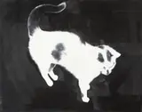 Rafał Bujnowski, Untitled (cat)