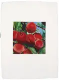 Karin Kneffel, Untitled (Peaches)