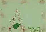 Dieter Roth, Untitled, 9 works: each felt tip pen resp. mixed media with brownish sticking substance on greenish paper