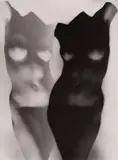 Heinz Hajek-Halke, UNTITLED, Vintage gelatin silver print