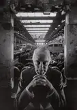 Arnold Newman, ALFRIED KRUPP, ESSEN