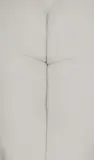Harry Callahan, ELEANOR, CHICAGO