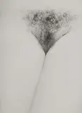 Harry Callahan, ELEANOR, CHICAGO