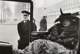 Inge Morath, MS EVELEIGH NASH, BUCKINGHAM PALACE WALL, LONDON