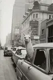 Inge Morath, LAMA. BEGEGNUNG AM TIMES SQUARE