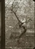 Josef Sudek, FENSTER MEINES ATELIERS